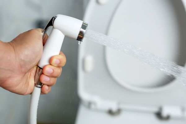 Cost of Bidet Installation in Livonia