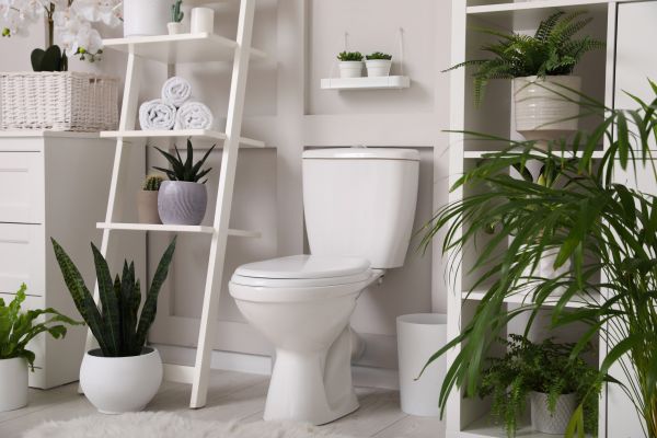 Cost of Toilet Repair in Livonia