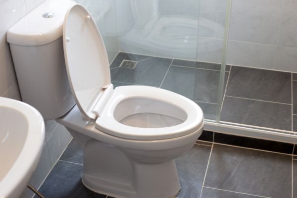 Cost of Toilet Replacement in Livonia