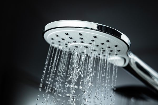 Cost of Shower Head Replacement in Livonia