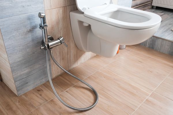 Cost of Bidet Service in Livonia
