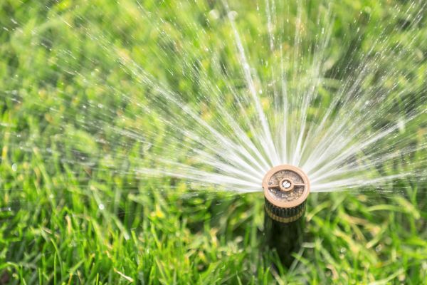 Cost of Spigot Installation in Livonia