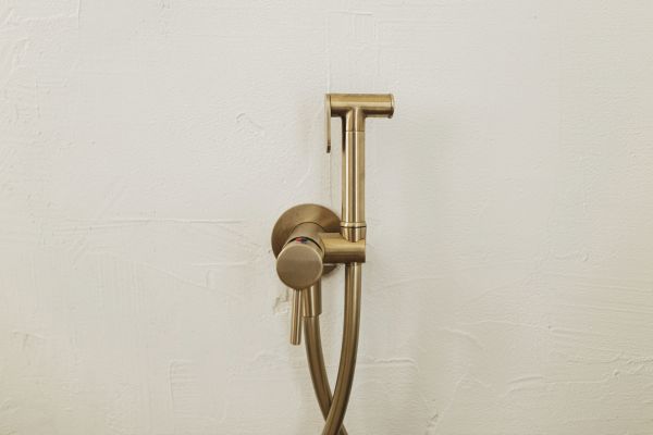 Cost of Bidet Plumbing in Livonia