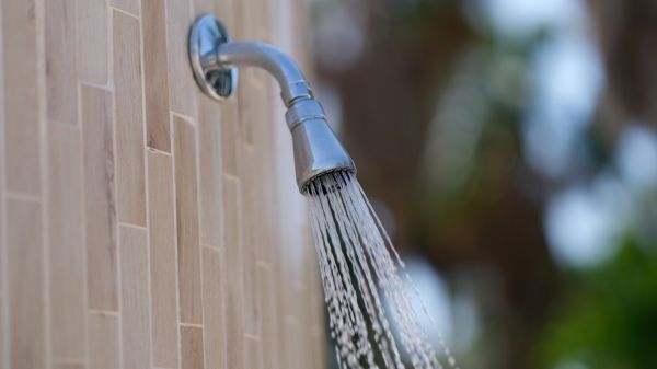 Cost of Showerhead Repair in Livonia
