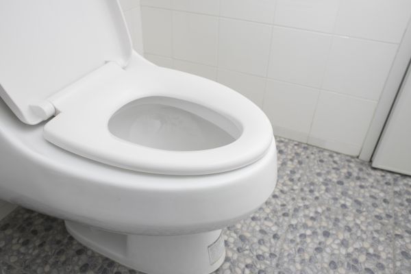 Cost of New Toilet Installation in Livonia
