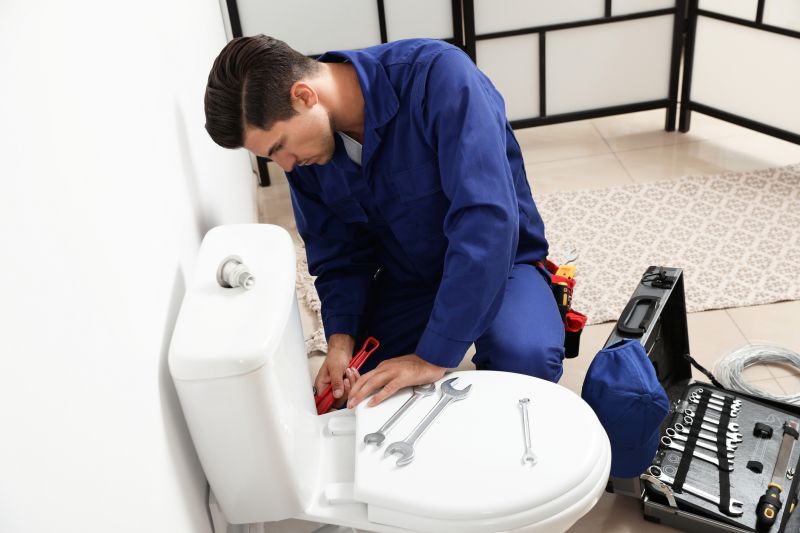 Backed Up Toilet Repair
